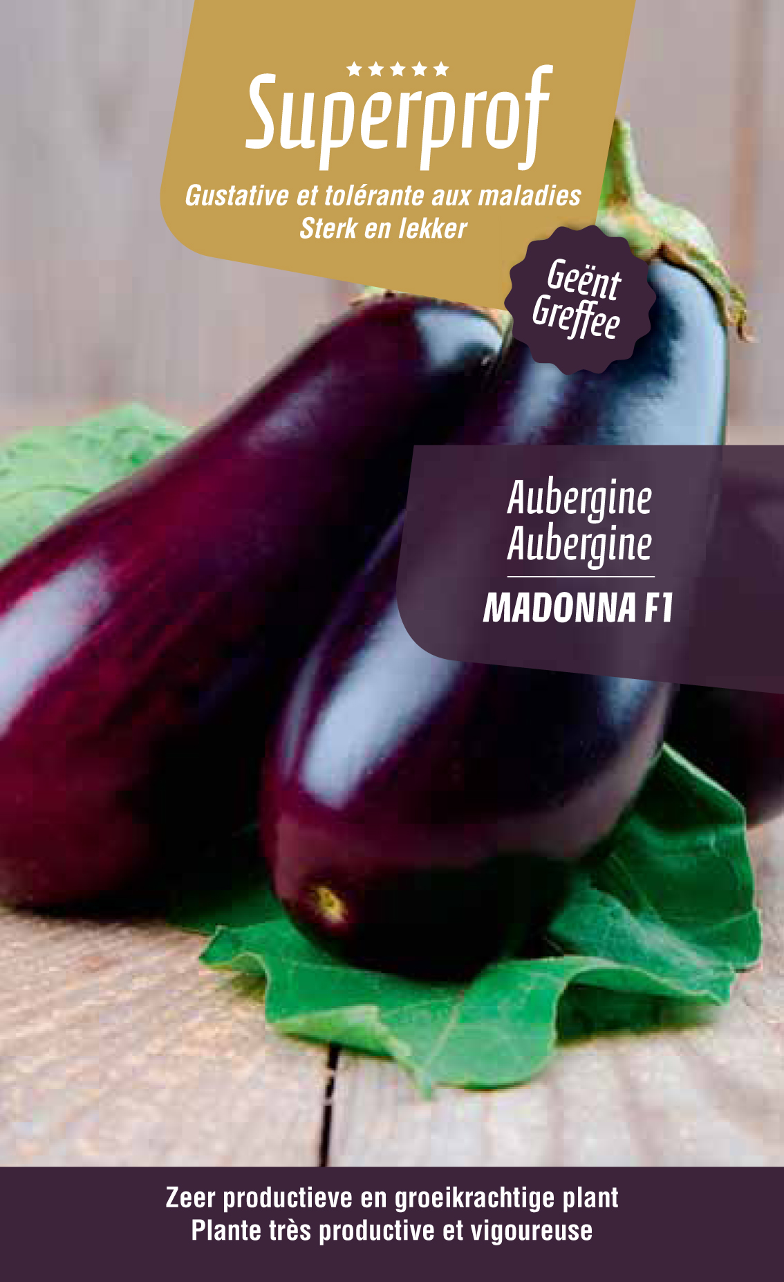 Aubergine greffée Madonna F1 (tray 8 pot)